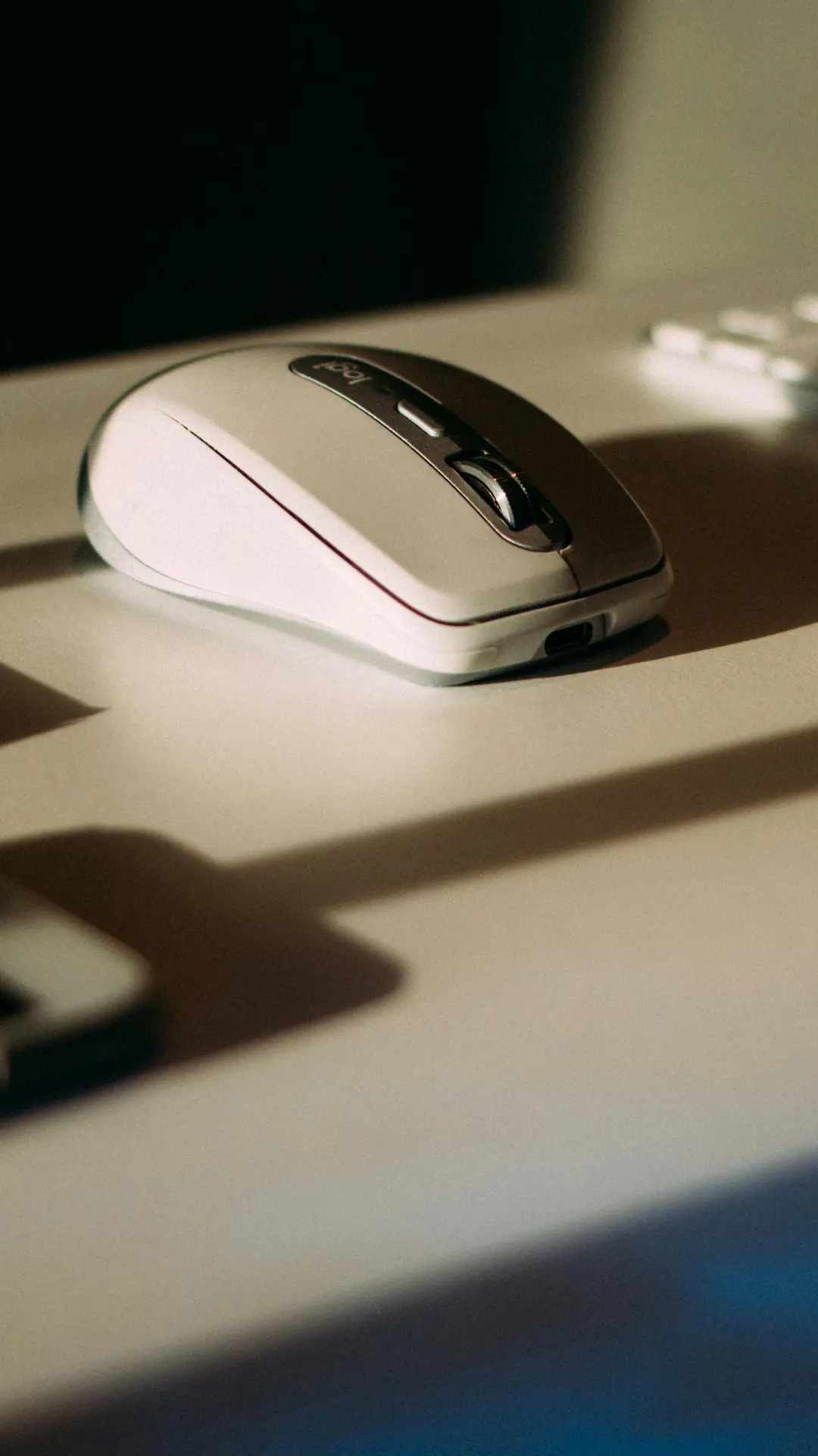 Project Development Consultation